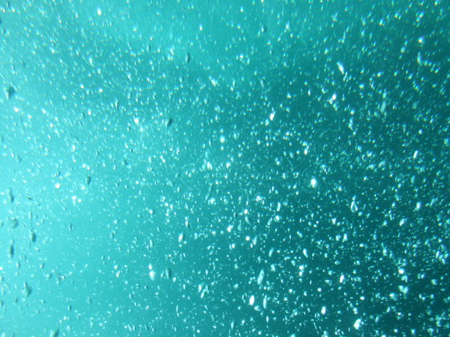 そして潜水艦へ！！！<br />途中で、潜水艦に同行しているダイバーが魚を集めてくれました。<br />なかなかの光景でしたよ☆<br /><br />係りの人が、韓国語で説明してくれてるんだけど全くさっぱり解りません（××）<br />言葉がわかればもっと楽しめたんだろうなあ〜。。<br />