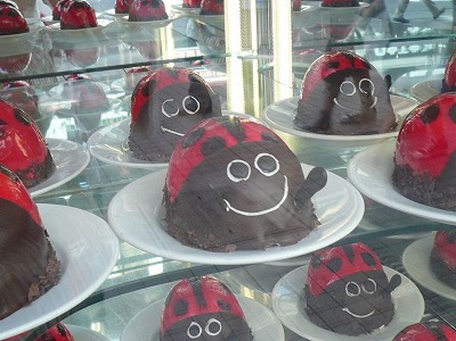 これはかわいい☆<br />テントウムシ型のケーキです！<br />こんなの可愛すぎて食べられないっ。