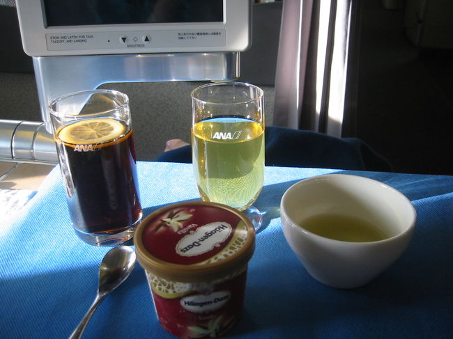 帰りのＡＮＡビジネスのデザート。バニラだったからコーラと混ぜてシェイク状にして食べちゃいました。