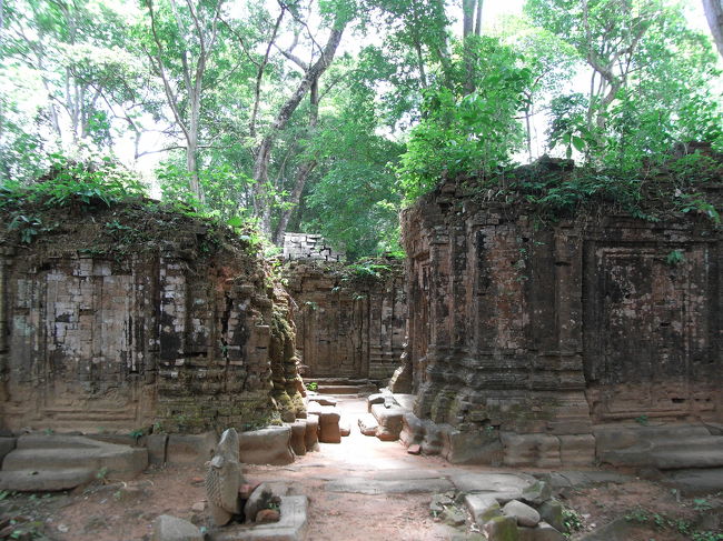 森をズンズン進んで行きます。ピラミッドは森の中に隠れていてまだ見えません