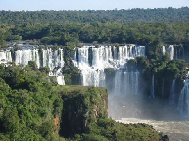 緑とのコントラストが美しいです。