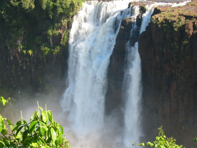 イグアスの滝はなんと350もの滝から成っているといいます。
