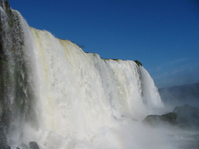 空の青とのコントラストが見事です。