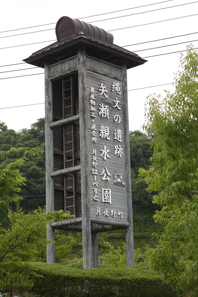 月夜野ホタル観賞の夕べ』水上温泉(群馬県)の旅行記・ブログ by まもちんさん【フォートラベル】