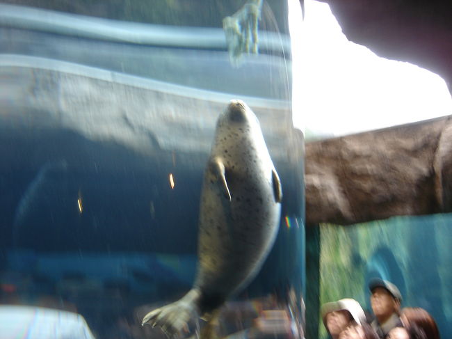 なかなか出てこなくて、やっと！<br />の時に撮った１枚です。<br />あんまりにも慌ててたので、多少ぶれてますが・・<br />でも、あそこをくぐる瞬間は感動的ですね。