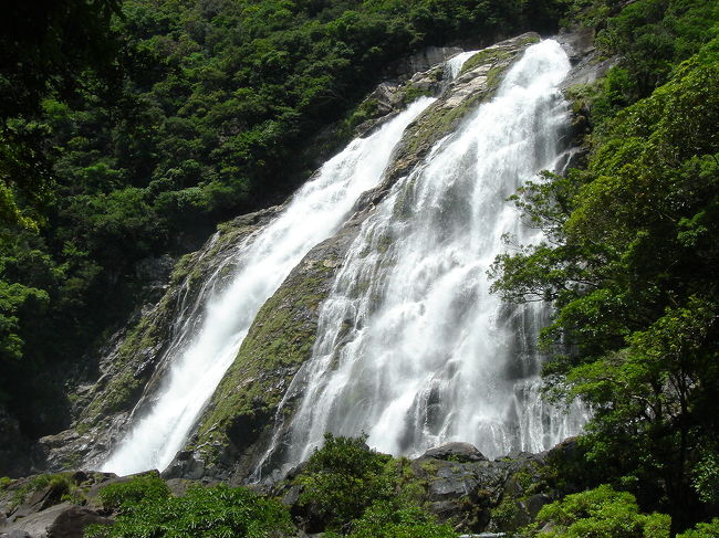 【激レア】新品未使用world heritage世界自然遺産 屋久杉サーフボード 新品・中古サーフボード販売、ウェットスーツ、サーフィン用品