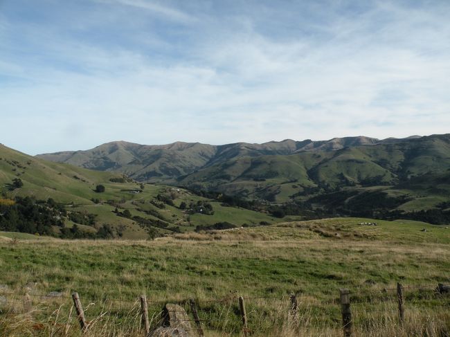 休憩後、広大な風景を眺めながらドライブ。<br />途中でチーズ工場に行きました。<br />チーズ作りの様子は<br />シーズンが終わっていて見れず。<br />本当にたくさんのチーズが並べられていて<br />試食した中から1つ購入しました。<br /><br />