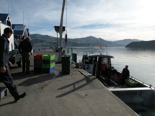 食後はまたも海に沿ってお散歩です。<br />今日食べた魚を漁師さんが運んでいたり、<br />ちょっとした見晴らし台のような所まで行きました。<br /><br />イルカを見るためのクルーズもあったのですが<br />お金かかるし、時間も決まっていたのでやめました。<br />もし、夏に来てたら色々と考えたのですが。<br />散歩して、ピクニックして終了でした。<br /><br />