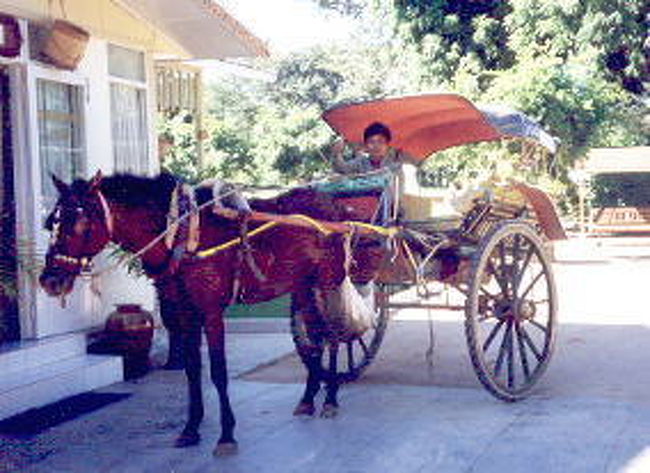 ミャンマーのガイドブックにはエアーマンダレーが一番安心できると書いてあったが、ヤンゴンエアーもまったく問題なかった。空港に降りると先程とは別世界の静けさ。Ｉｍｍｉｇｒａｔｉｏｎを済ませバガンへの外国人入場料＄１０を支払う。同じ飛行機に乗っていた日本人団体客はお迎えが来ているので行ってしまった。僕は空港の外に出る。すると案の定客引きが集まって来た。しかし沢山客引きがいると言うのに、僕に近づいてきたのは二人。タクシーの人一人。馬車の人一人。ちゃんと順番が決められているようだ。僕はもちろん馬車を選択！！のんびりと街に向かった。昨日までのヤンゴンとはまったく違う世界がここにはあった。車はほとんど通っていない。とても静かで、何ともいえない雰囲気に、既にＡＭＡＧＡＳＡ馬車に揺られながら感激しまくっていた。<br />馬車の運転手さんによると、客を取る為に、朝４時に空港に行き、客引き順番待ち?をＧｅｔしたそうだ。僕が降りてくるまで個人客は誰もいなかったらしい。この時期はまだ雨季ということで、観光客はまだまだ少ないという。彼にホテルを紹介してもらった。バガンのわりにはちょっと高いと感じたが、ホテルのお姉さんがとっても良い人で、部屋がすごくきれい、そしてこのバガンの雰囲気を充分楽しみたい気分だったので泊まることにした。