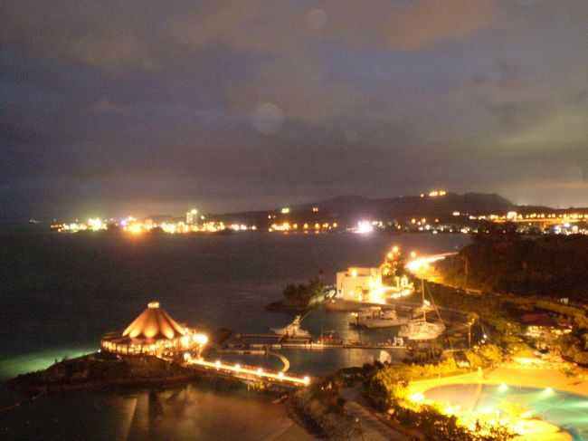 そうして夜は更けて・・・<br /><br />ブレていますが、ライトアップされたホテルの<br />夜景は、このようです。