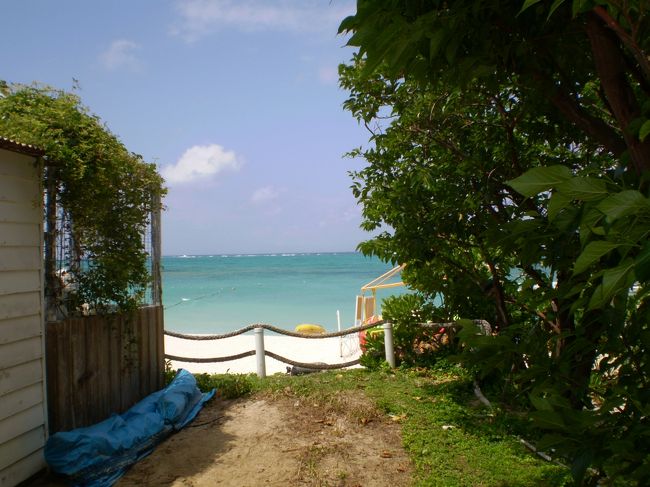 これはリゾートではない、本来の沖縄らしい<br />感じがするのですが。<br /><br />沖縄のおばあが、木陰からひょいと顔を出し<br />そうな錯覚に陥ります。<br /><br />私が１年半前に訪れた本部町備瀬（もとぶ<br />ちょうびせ）地区にも、こんな風景があり<br />ました。<br /><br />いいなぁ〜沖縄…