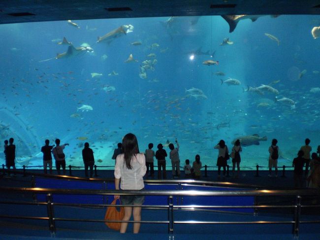 美ら海のように素敵な結婚式。<br /><br />いつまでも仲良く、そして幸せな二人であってほしいと願います。