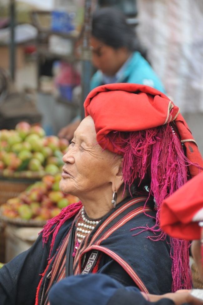 『ベトナム 少数民族の村を訪ねて』サパ(ベトナム)の旅行記・ブログ by Johnnyさん【フォートラベル】