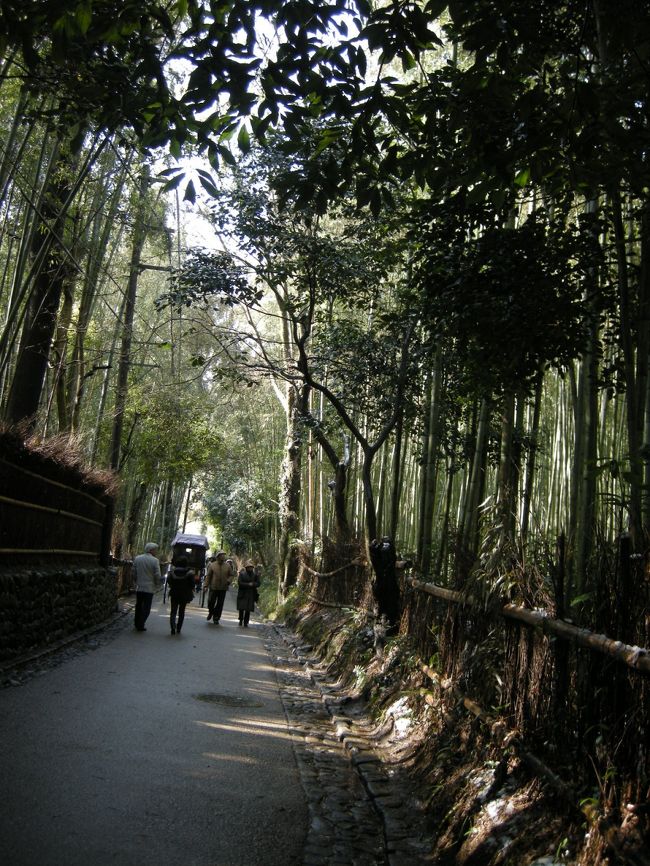 次に行った、竹林。<br />人力車に乗って写真を撮る人。<br />様々な人がいました。<br />あまり歩いたわけじゃないけど、<br />雰囲気は充分味わえましたぞ〜。いい場所だ。