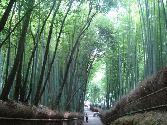 適当に歩いていたら、北門へ出てしまいました。<br />本当は駅前に戻って、レンタサイクルで嵯峨野を散策しようと思っていたんだけど・・・。<br />ま、いいか。