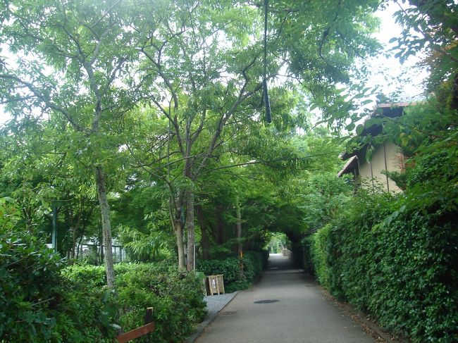 常寂光寺へ続く道。<br />この辺まで来ると、あんまり観光客がいません。