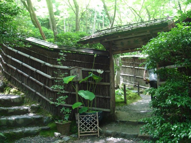 落柿舎をあとにして、またテクテク歩きます。<br />次は嵯峨野で一番行きたかった「祇王寺」です。<br />