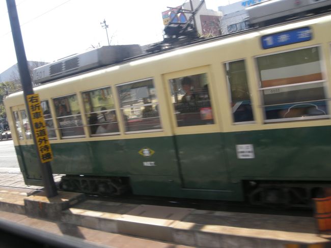 【号外】<br />どうしてもママが乗りたがってた路面電車。<br />パッケージ電車で結構楽しいんだよね、見てると。<br />チキンラーメンの柄のとか可愛かったなぁ♪
