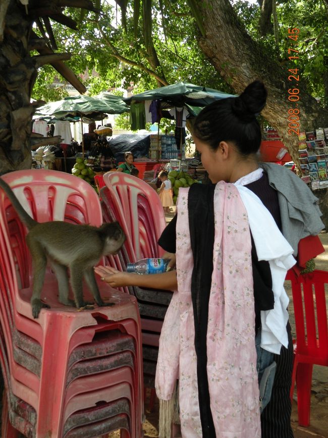 猿にお水をあげているところ。<br />ここではたくさん猿を見かけました。<br /><br /><br />階段を上って第一回廊へ進むと…