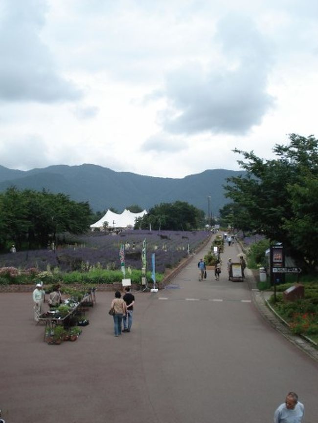そんな天気のせいか平日とはいえやけに空いてます