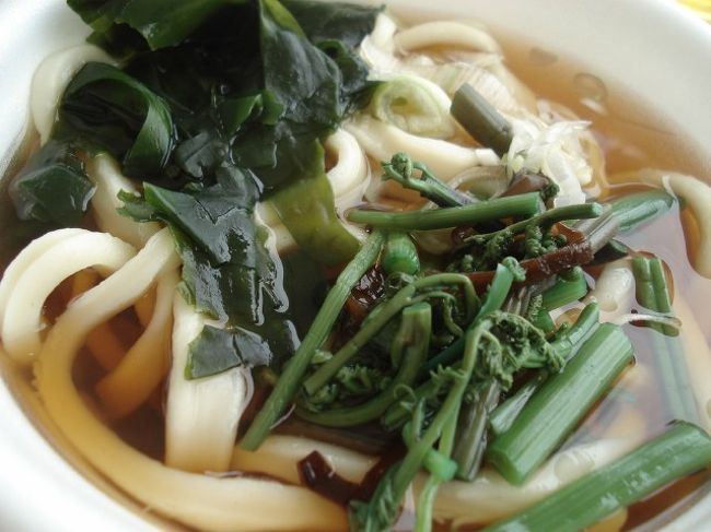 お昼は富士うどん　５００円也<br /><br />味は…屋台だからこんなもんかな(-_-)<br /><br /><br />