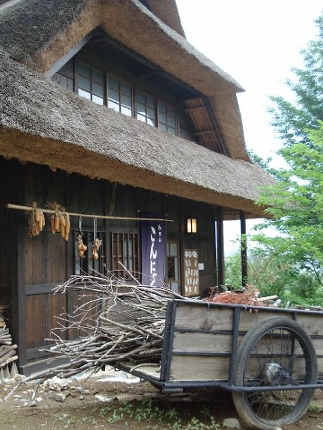 MAP?　こんにゃく懐石《一粒》です<br /><br />河口湖町産のこんにゃく芋で作った田楽、こんにゃく<br /><br />うどんなどが食べられます。<br /><br />小懐石のこんにゃく遊膳1,500円が良さそうでした。<br /><br />今度ゆっくり入りたいです。