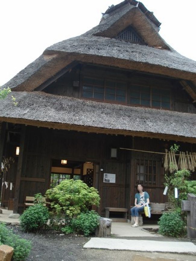 MAP?　こちらでは地元の特産品、味噌、草もち<br /><br />などを加工、販売しています。<br /><br />こうして茅葺きの１軒１軒お店や資料館などに<br /><br />なっています。