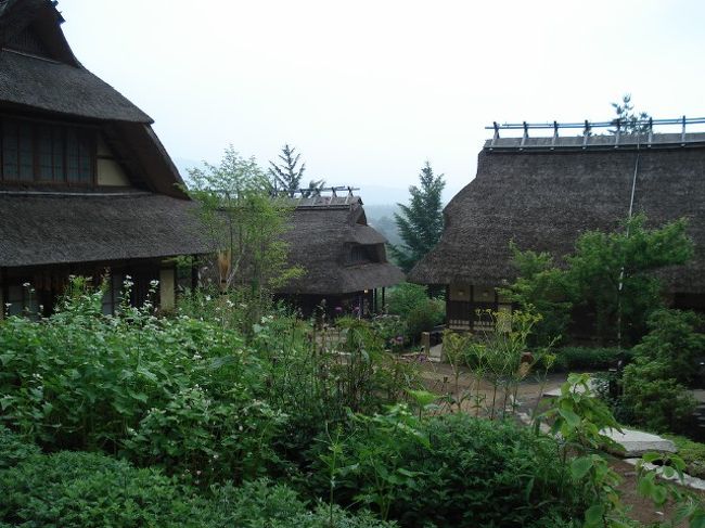 かつては茅葺き屋根が並んでいた西湖畔の根場地区に<br /><br />日本の原風景である茅葺き屋根の集落を甦らせようと<br /><br />造られたのが『いやしの里根場』です。