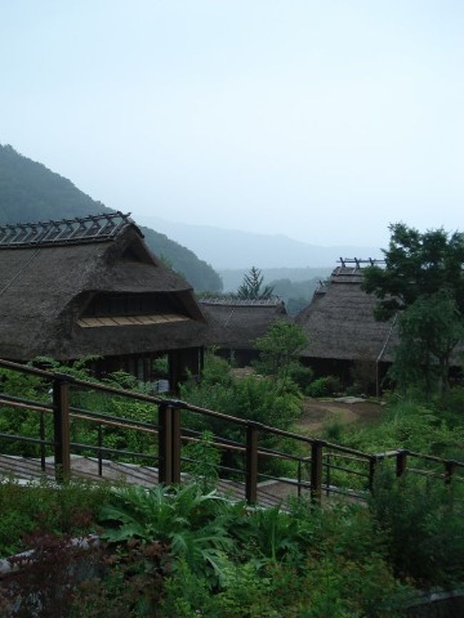 晴れていればこの辺りから見事な富士山が望めるようです