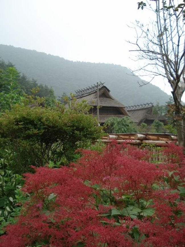 縁側からの眺め