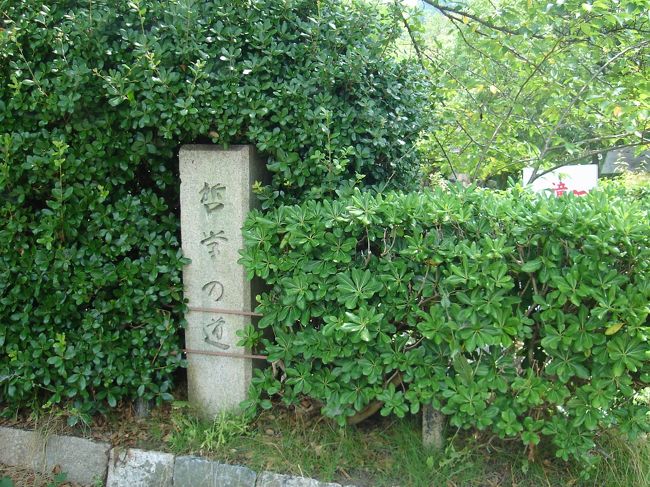 来ました!!哲学の道。