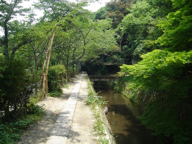 木陰もあるので徒歩で散策には丁度良さそうです。<br />でも、日曜なのに何で人が少ないんだ？