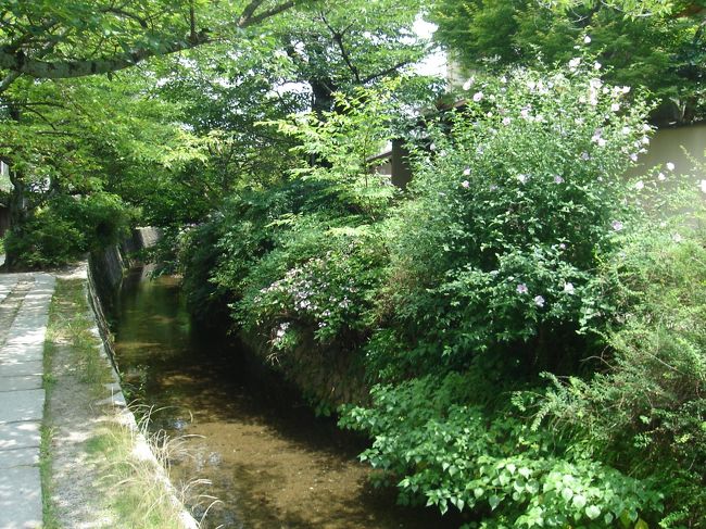 まだまだ歩く歩く歩く歩く・・・・・。