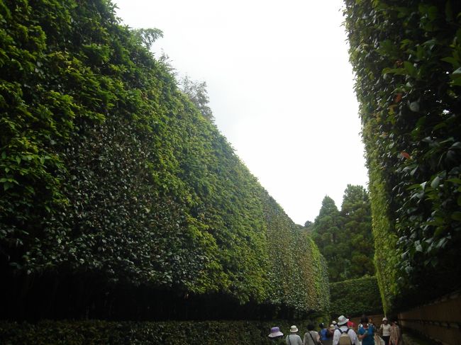 お茶した後は銀閣寺へ。