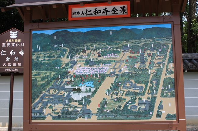 京都世界遺産めぐり? 「仁和寺」』京都の旅行記・ブログ by みに 京都世界遺産めぐり? 「仁和寺」』京都の旅行記・ブログ by みに
