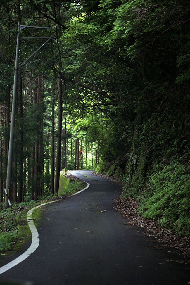 日本三大酷道! 「酷道 死にGO(425)!」とは国道425号線。十津川−龍神間を転落の恐怖に耐え走る