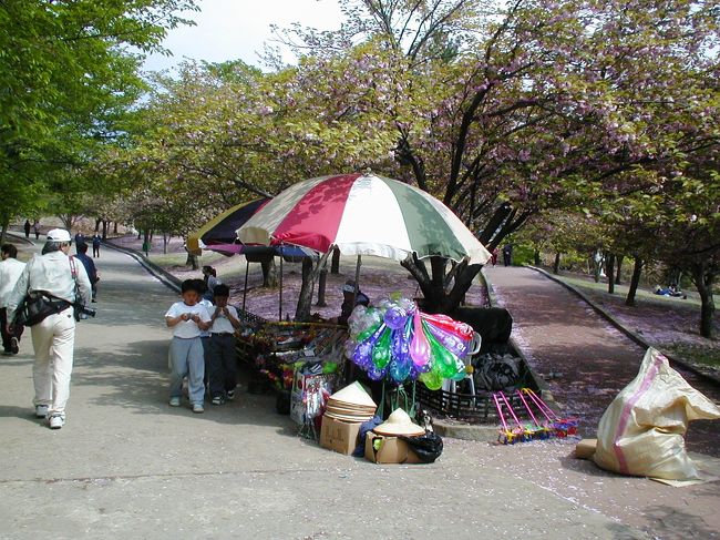 参道には、出店も沢山出ていました。慶州は、韓国第二の都市、釜山からも近く、観光地としては恵まれた環境になっています。