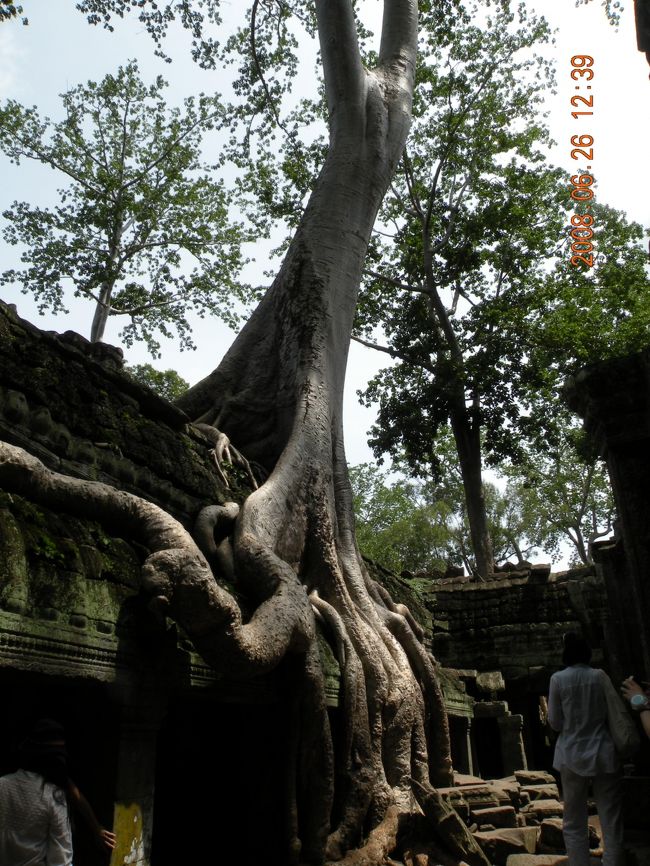 この場所で<br />“トゥームレーダー”の撮影が行われたそう。<br /><br />ティさん発音良くて、最初聴き取れず。<br />さすがは元英語ガイド。<br />