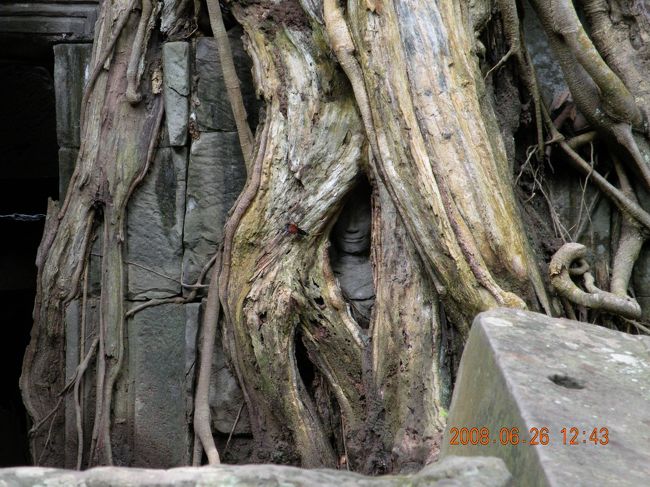 木の間から<br />うっすらと見える像。<br />本当に小さかったです。<br /><br />聞かずとも場所を教えてもらえました。<br />1人じゃ絶対分からなかった。<br /><br /><br />ここで午前中の観光は終了。<br />もうここら辺に来る事ないと思うと<br />不思議な感じがしました。<br /><br />遺跡群を後にして昼食場所へ。<br /><br /><br />