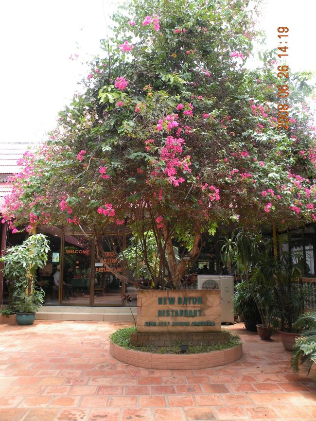 昼は“ニューバイヨン”というお店へ。<br /><br />カンボジア風ラーメンと<br />その他もろもろ出てきました。<br />やっぱり最後まで量は多かったです。<br /><br />