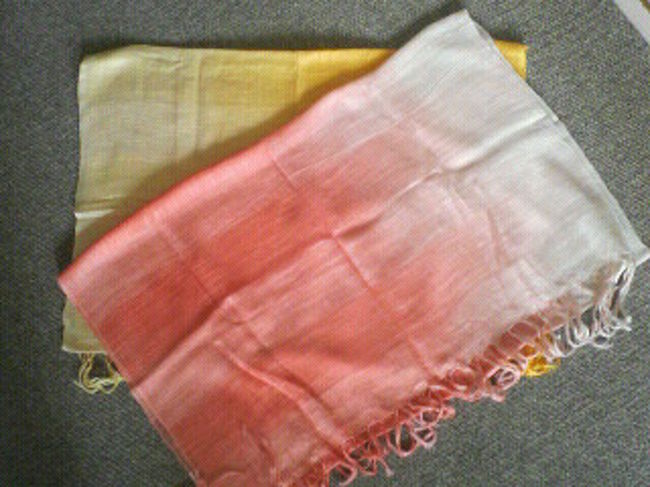 5枚買ったらサービスすると言われ、<br />1枚US$5からUS$３にまけてもらいました。<br />でも、最初にもう少し安くなったかな。<br />最後に店のお姉さんと記念撮影しました。<br /><br />結局時間は30分超えてたし、<br />買い物もし、ティさんの元へ戻りました。<br /><br />ホテルへ着いたのは13時過ぎ。<br />そして、最後の待ち合わせは17：30<br />交替でお風呂に入ったり、<br />荷作りしたり、仮眠取ったりしました。<br />本当に帰りたくない気分に。<br /><br />時間が来て、ロビーへ。<br />ティさん、またも私服で登場。<br />しかも、足元はビーサンでオフモード？<br /><br />空港までの道中、<br />カンボジア小話をしてくれました。<br />最後までちゃんとガイドしてくれ感謝。<br /><br />空港でみんなで記念撮影。<br />本当に、本当に名残惜しかったです。<br /><br />