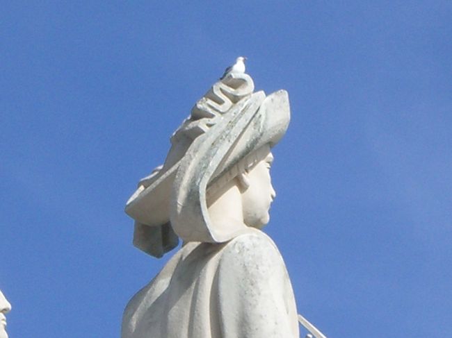 海鳥がベストポジションをキープ