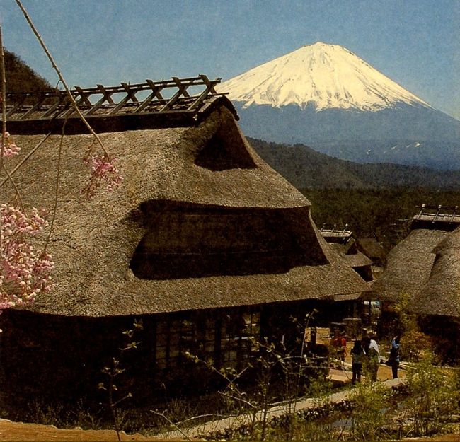 *** パンフレットの表紙より ***<br /><br />こんなに見事に！！くやし〜〜〜！！