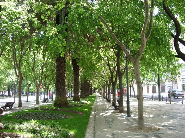 リベルダーデ通り<br /><br />木陰で涼みながら、<br />テージョ川の方に向けて降りてゆく