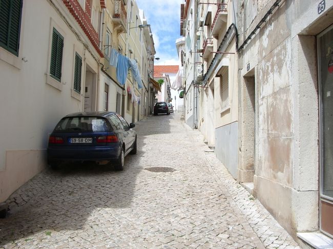 食後の散歩。<br />山の斜面を登り、住宅街の方へ。