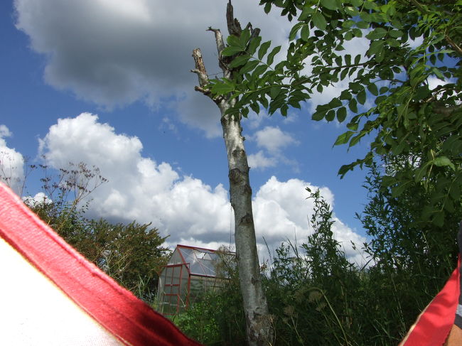 １日中、ずっとこうして寝そべって、空を見上げていたいものです。