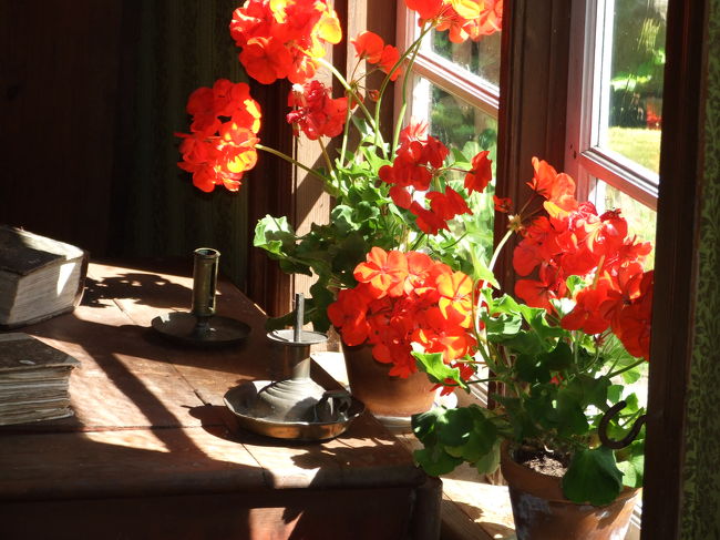 ヨーロッパの家ではだいたいどこも窓に花を飾る伝統があります。
