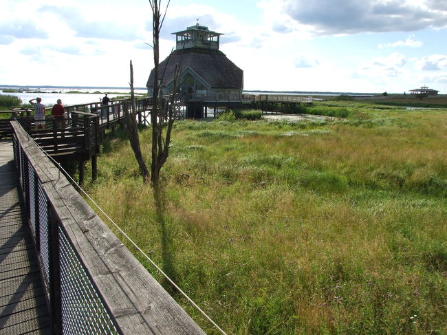 今度はフールボルヤルフンという湖に行きます。ここは春になると鶴踊りが見られるということで世界的に有名な場所です。