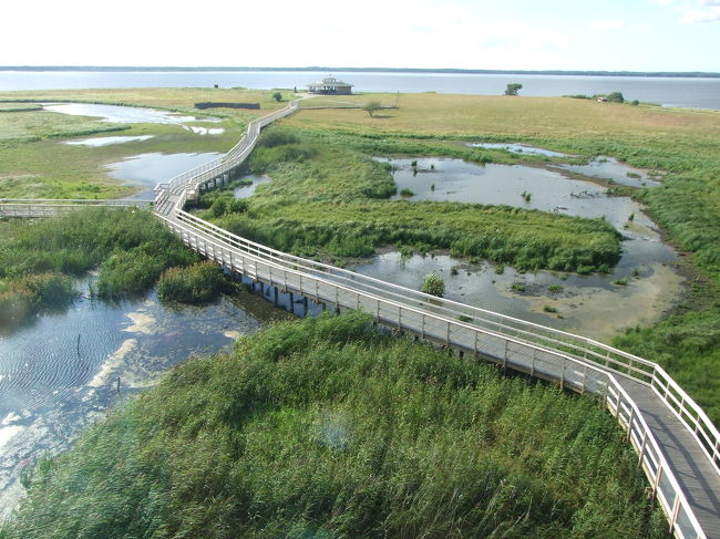 ツーリストインフォメーションのある建物からこの公園を見渡します。