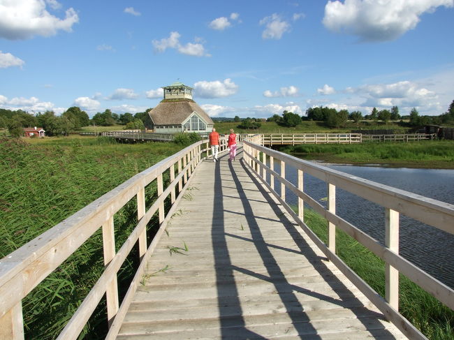 湿気帯の上を橋で渡っていきます。